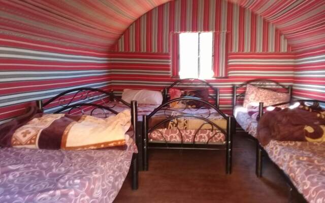Wildlife Camp