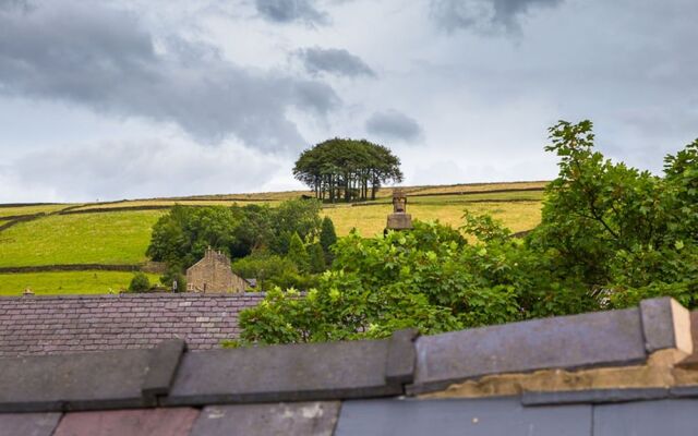 Millies Hayfield