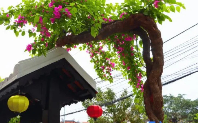 Yzistel Hoi An