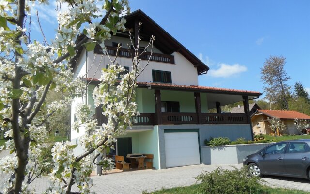 Apartments and Room Robert