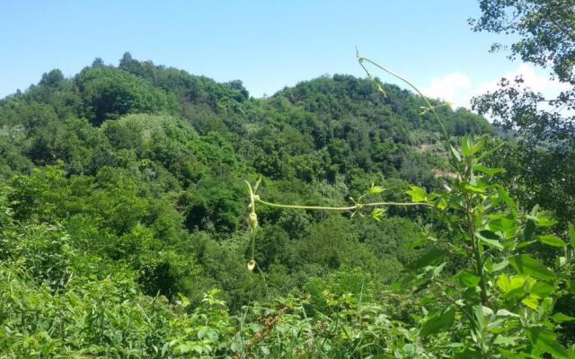 La Collina dei Passeri