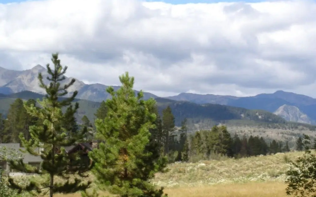 Pines 2133