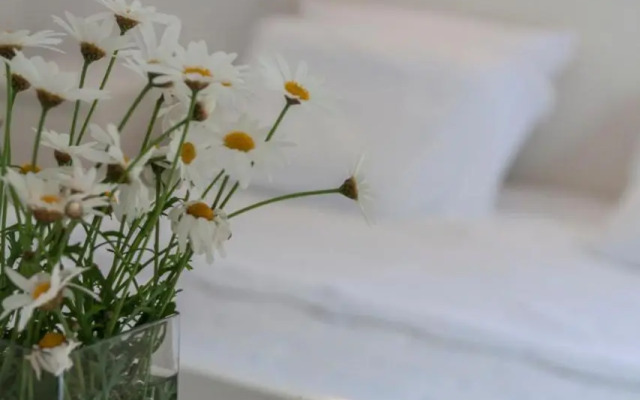 Suncana Apartments Dubrovnik 2