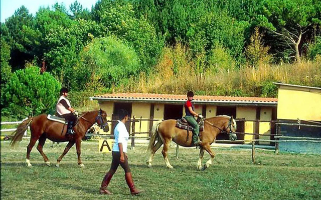 Park Hotel Spa & Resort