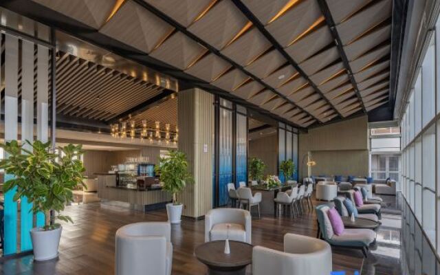 Stargale's Collection