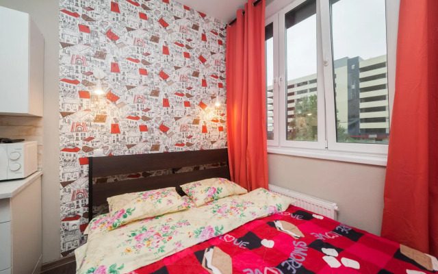 Санди на улице К.И. Вороницына