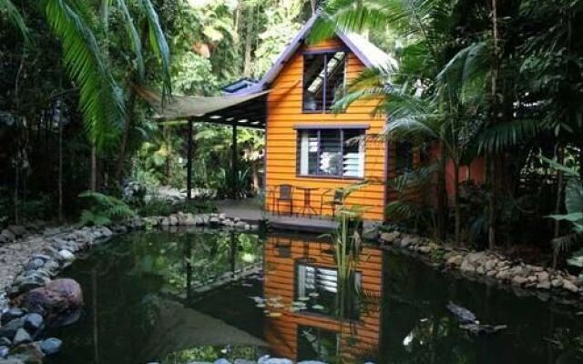 Rainforest Hideaway