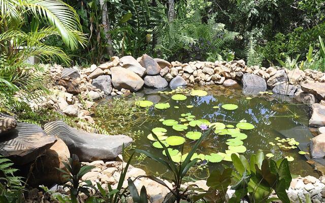 Tropical Bliss Bed and Breakfast