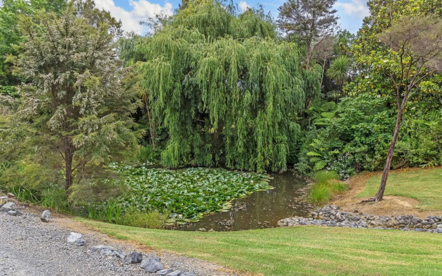 Riverside Matakana