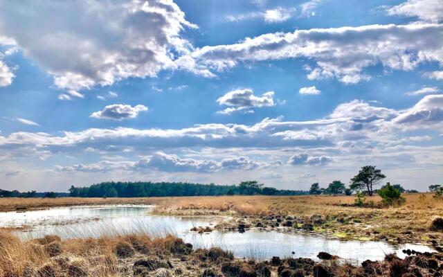 Bonte Specht: tot rust komen in de natuur!