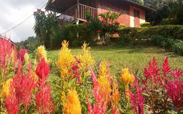Phucheefah Homestay
