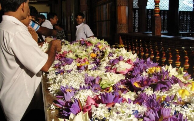 Explore Central Srilanka