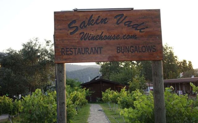 Sakin Vadi Winehouse