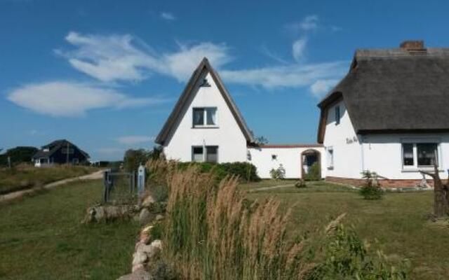 Hagebutte - [#58933]