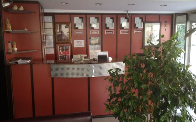Bayindir Palme