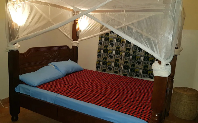 Jamboland-Diani