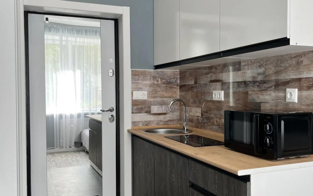 Апартаменты Степаненков на Воеводина 4