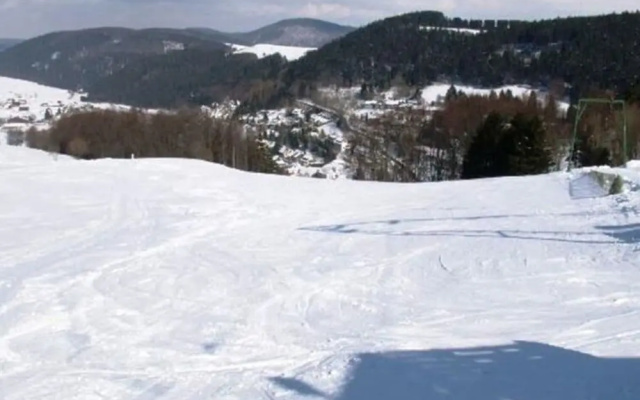 Apartment in Willingen Near Ski Lift