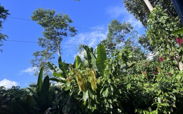 Chilamate Rainforest Eco-retreat
