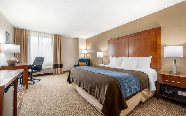 Comfort Inn Anderson South
