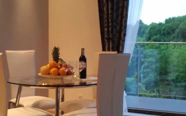 Apartament przy Focha