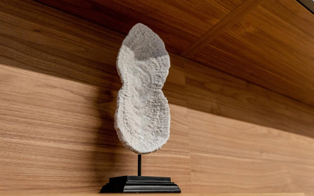 North Twin1 - Aviatiei