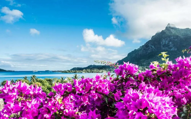 Villa Rea Hanaa