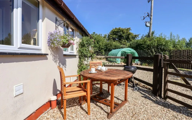 Little Rowan at Rowan Park Farm