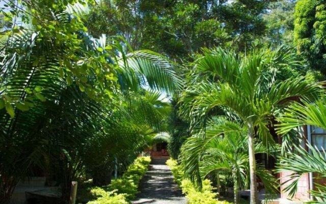 Plaza del Bosque Tarapoto