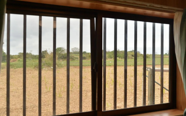 star light terrace TERUYA