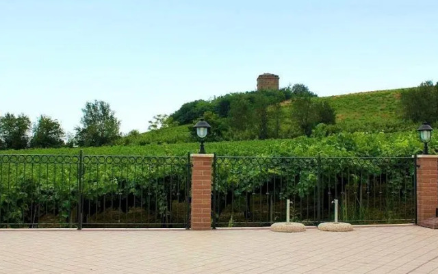 Il Vigneto Country House