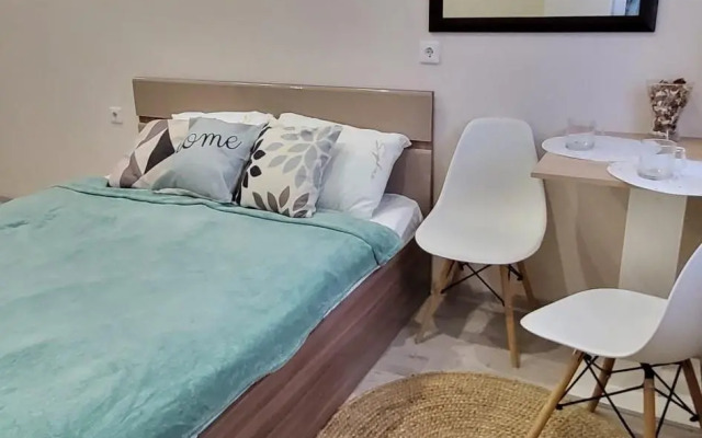 Апартаменты Факультет Гостеприимства на улице Селезнева 4\15