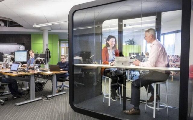 Capital Hill Little Oasis