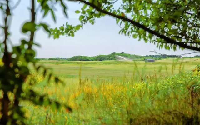 Inviting Dune Chalet in Hollum Near Golf Course