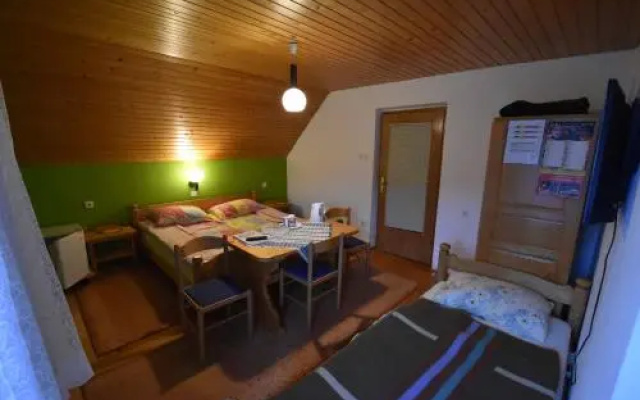 Guest House Žnidar