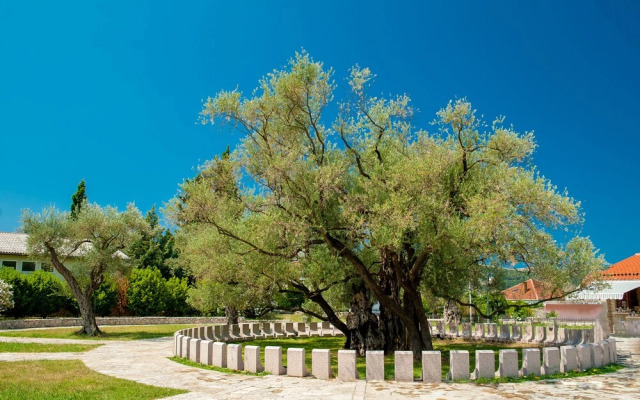 Apartmani Jovetic