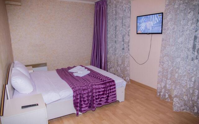 Барбарис на улице Льва Толстого