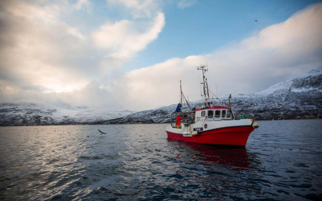 Arctic Panorama Lodge