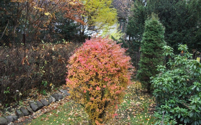 Willa Sezamek blisko szlaków i centrum