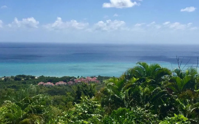 Magnifique Villa Bauhinia, Piscine vue mer