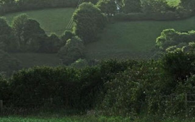 Dorset Farm