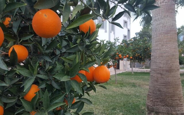 Green Garden Otel