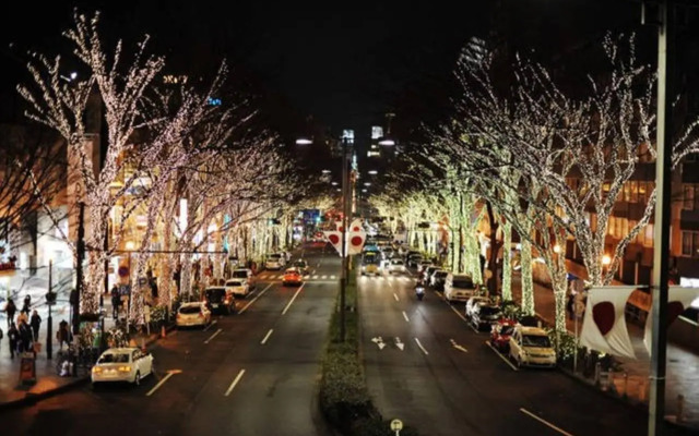 エバーグリーン新宿 リュクス 2m12