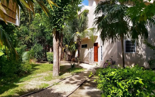 Mini Pini Birdwatching and Cenote Loft4 you Only
