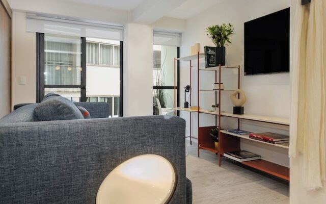Choapan 28 - Lux Apartments in Condesa