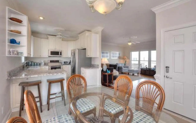 Stranded Indolphinitely