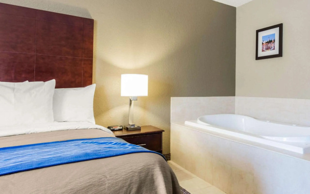 Comfort Inn Atlanta Downtown South