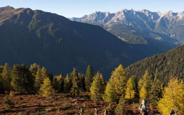 Sesselebenerhof 36723