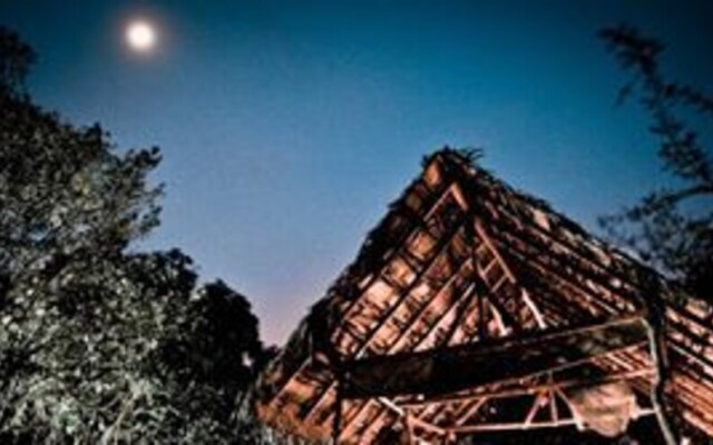 Palpatha Eco Safari Lodge