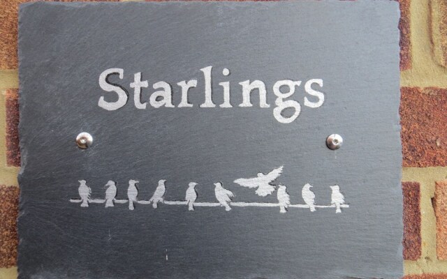 Starlings.......new for 2021